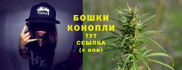 эйфоретик Валдай
