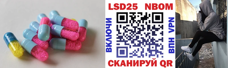 дарнет шоп  Покров  Лсд 25 экстази кислота 