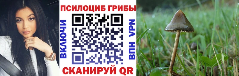 дарнет шоп  Покров  Псилоцибиновые грибы ЛСД 